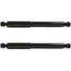 Fits 1985 - 2000 2001 2002 2003 2004 2005 Chevy Astro RWD Rear Pair Gas Shocks