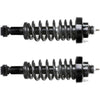 For 2002 - 2005 Ford Explorer Mercury Mountaineer Rear Struts & Coil Spring Pair