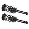 For 2000 2001 2002 2003 Nissan Maxima Rear LF RH Pair Complete Struts w/ Spring