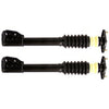 Fits 1986 - 1999 Buick LeSabre Pontiac Bonneville Rear Struts Complete Pair