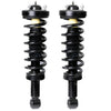 Fits 2004 2005 2006 2007 2008 Ford F-150 RWD Front Pair Complete Strut Assembly