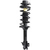 Rear Left & Right Struts & Coil Springs Assembly for Nissan Altima 2000 2001