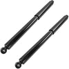 Rear Pair Struts and Shocks for 2004 - 2010 Ford F-150